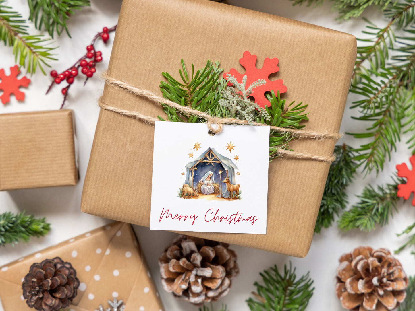 Merry Christmas - Mary in Manger - Cookie Gift Tag