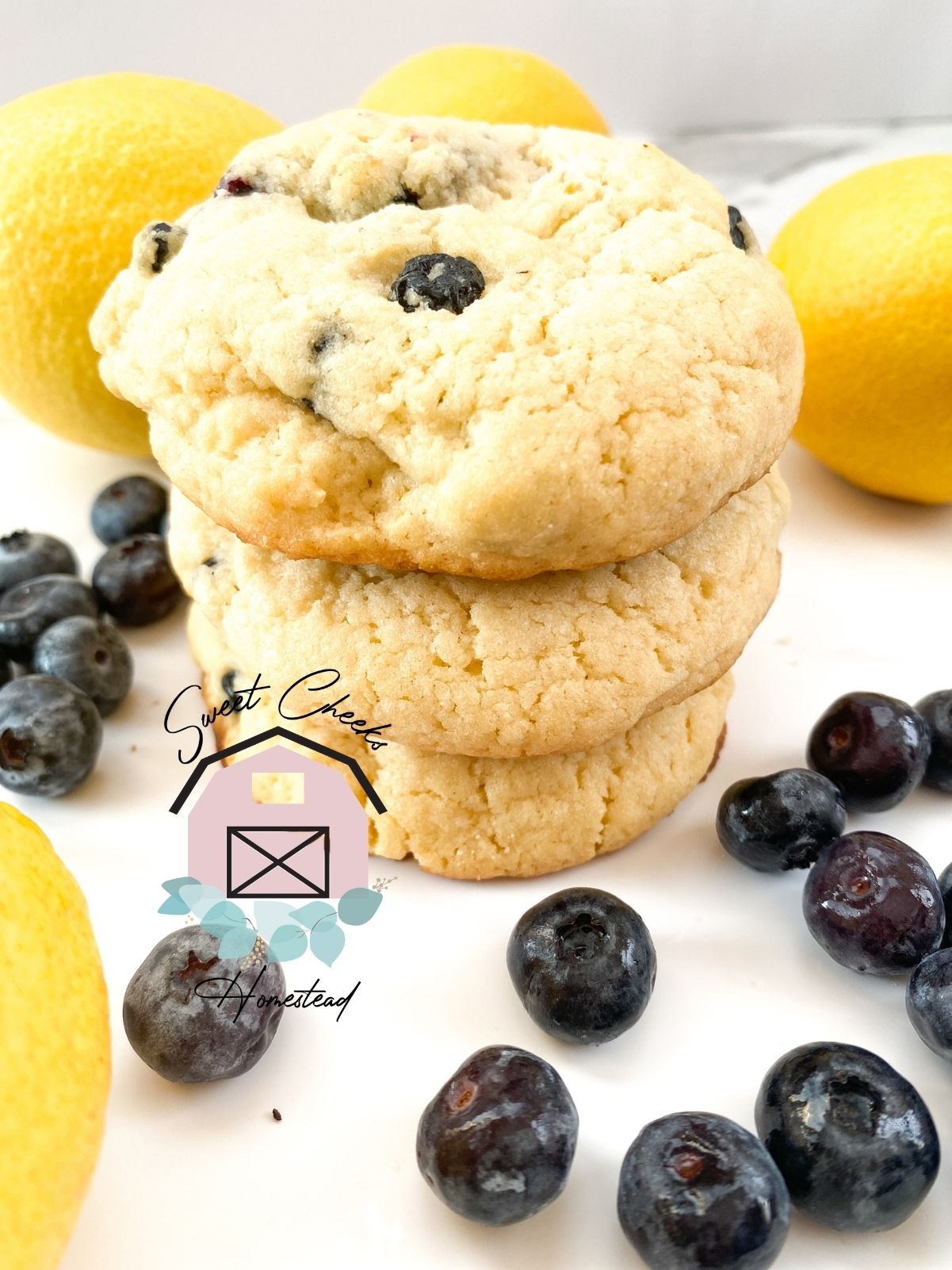 Lemon Blueberry Cookie Recipe
