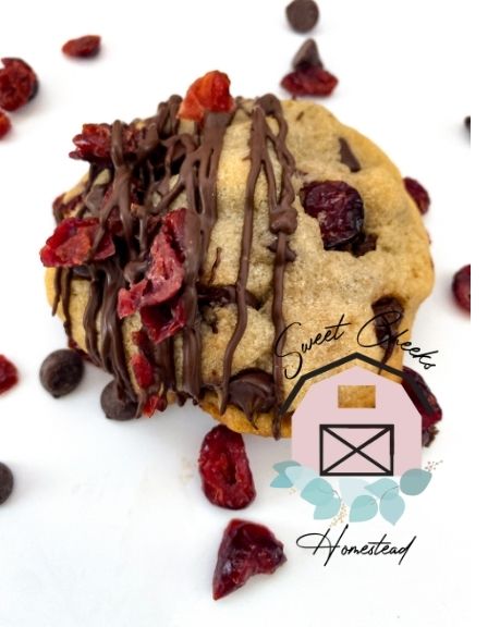 Cherry Chocolate Chunk Cookie Marketing Bundle