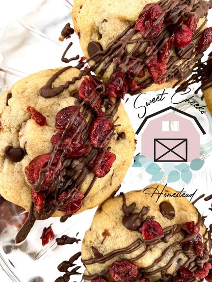 Cherry Chocolate Chunk Cookie Marketing Bundle