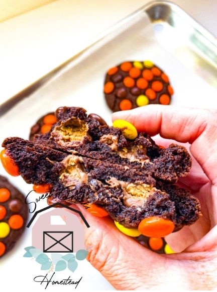 Double Reese's Chocolate Cookie Marketing Bundle