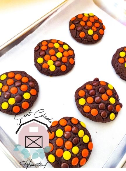 Double Reese's Chocolate Cookie Marketing Bundle