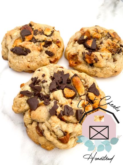 Honey Oat Chocolate Almond Cookie Recipe