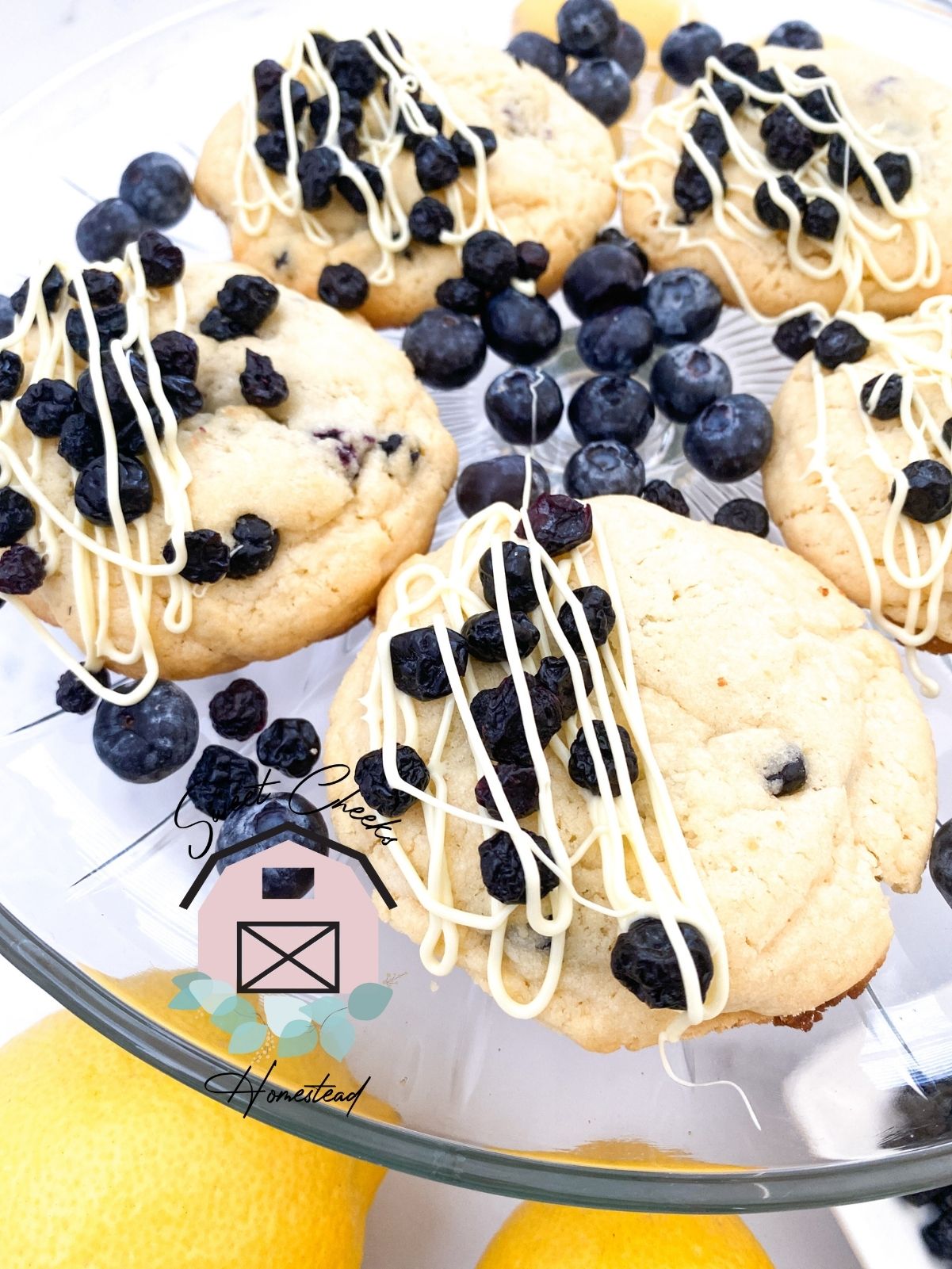 Lemon Blueberry Cookie Marketing Bundle