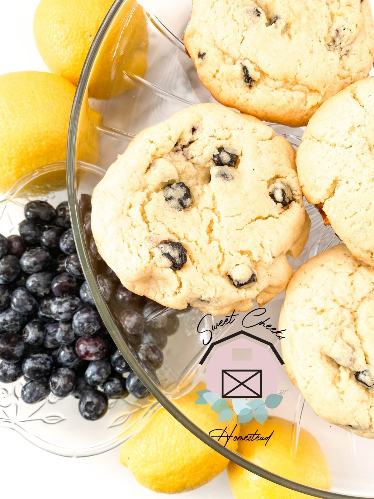 Lemon Blueberry Cookie Marketing Bundle