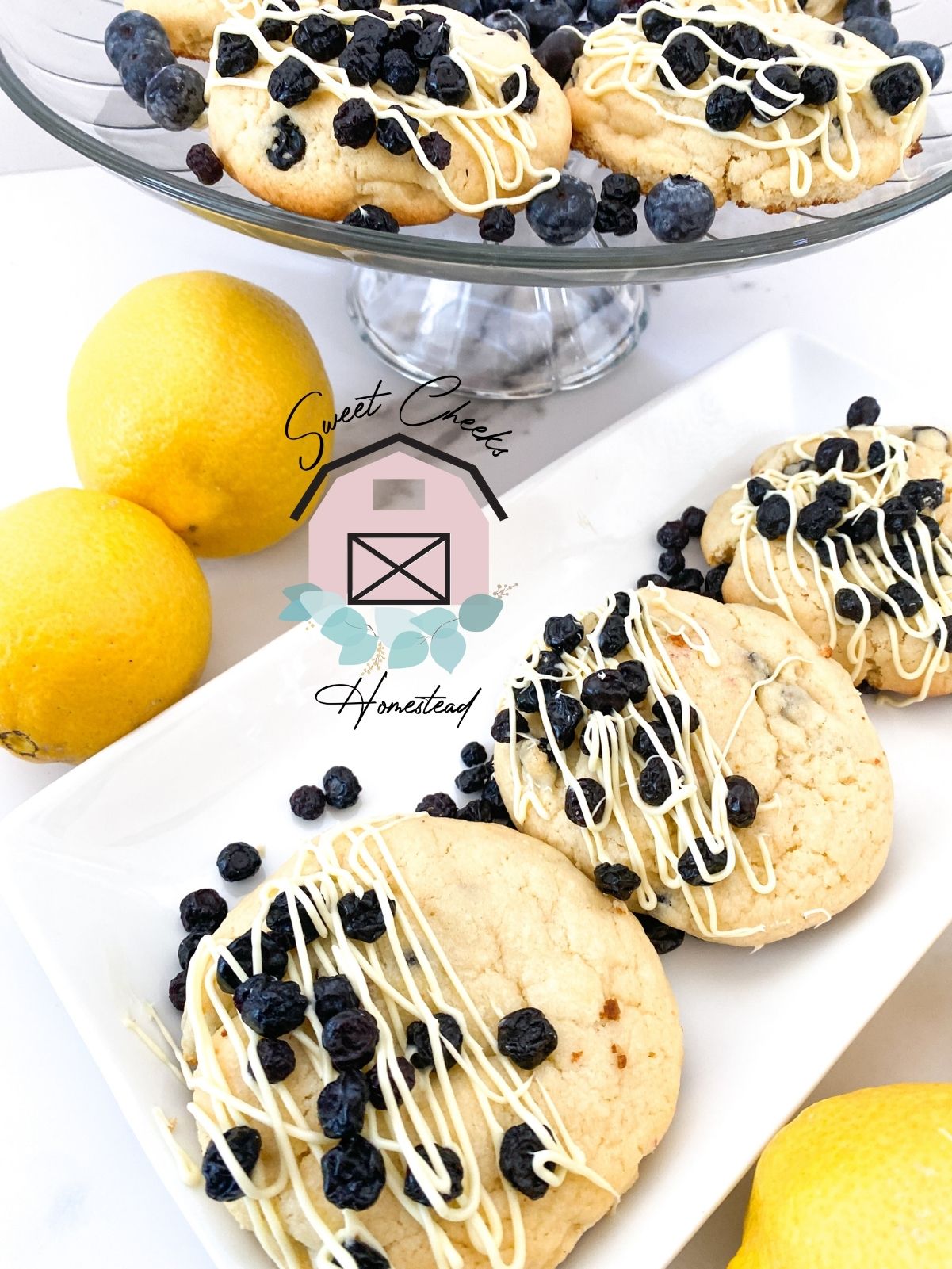 Lemon Blueberry Cookie Marketing Bundle