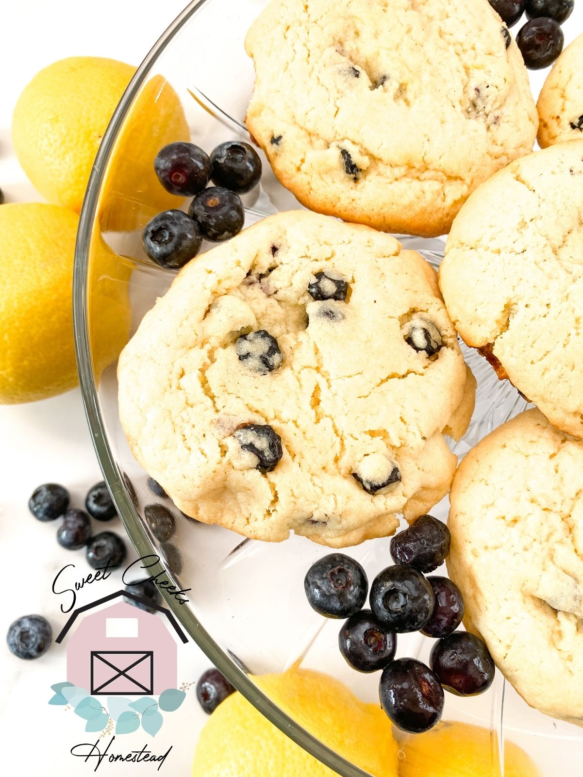 Lemon Blueberry Cookie Marketing Bundle