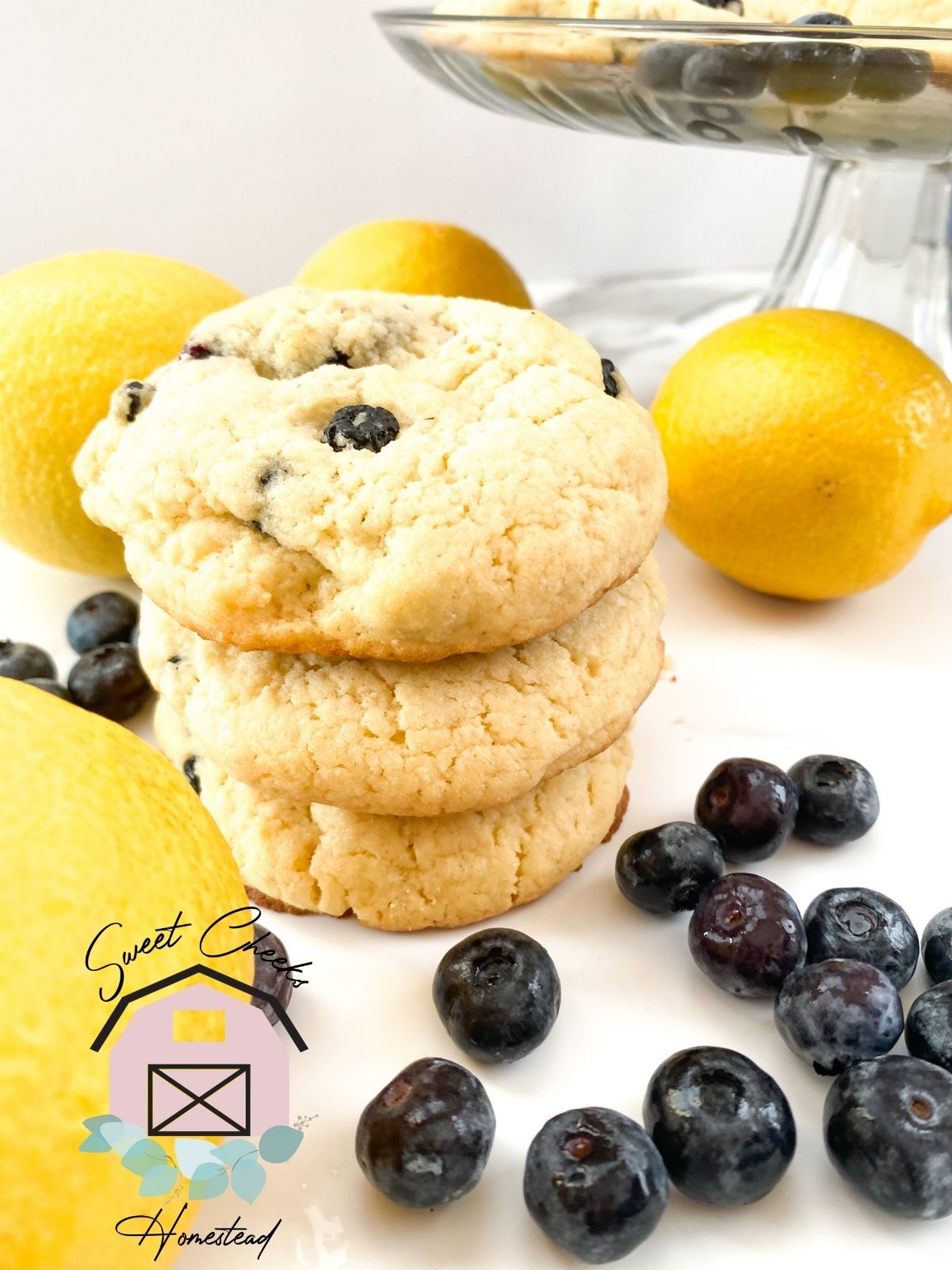 Lemon Blueberry Cookie Marketing Bundle