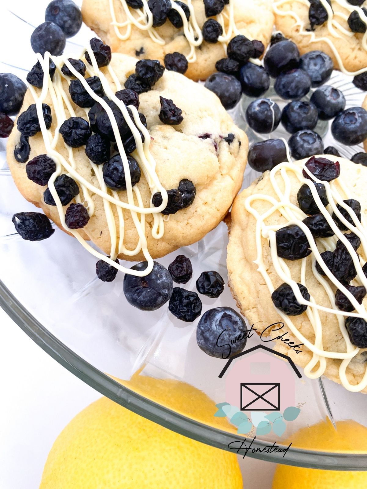 Lemon Blueberry Cookie Marketing Bundle