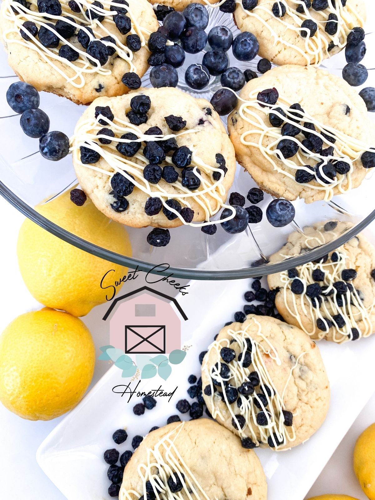 Lemon Blueberry Cookie Marketing Bundle