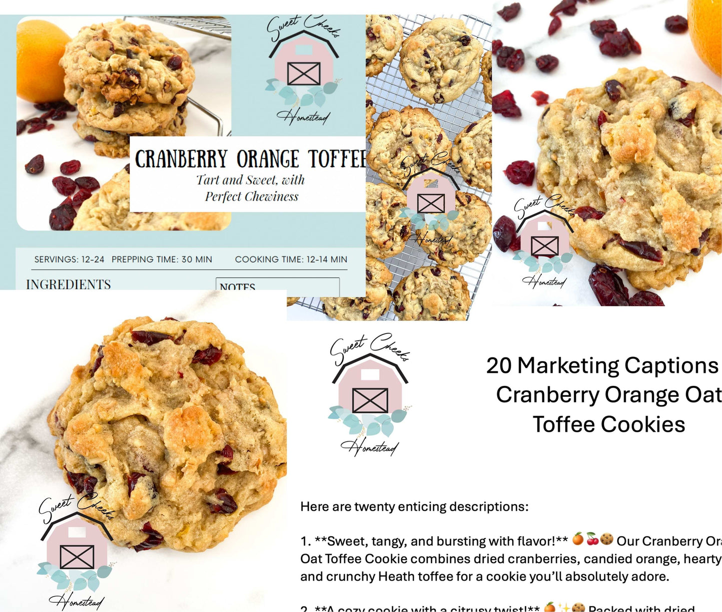 Cranberry Orange Oat Toffee Cookie Marketing Bundle