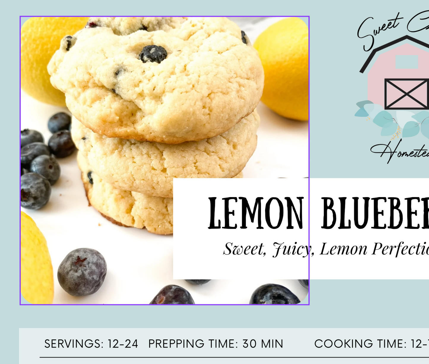 Lemon Blueberry Cookie Marketing Bundle